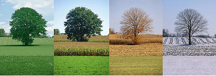 《魔女的夜宴》现已正式于Steam发售